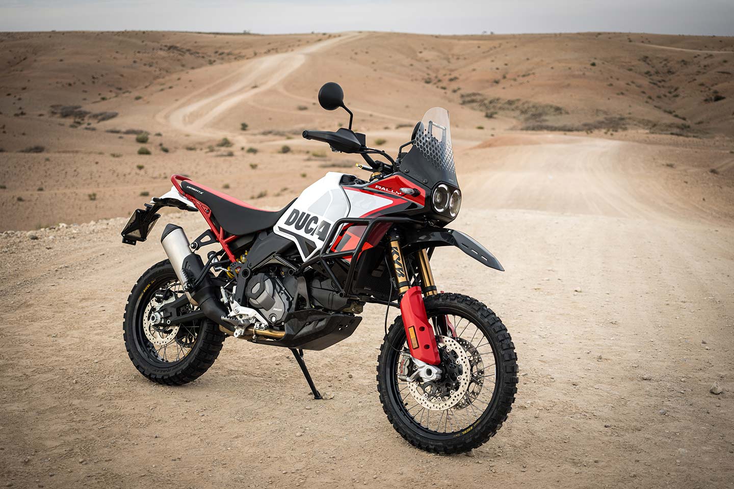 Ducati DesertX Rally image